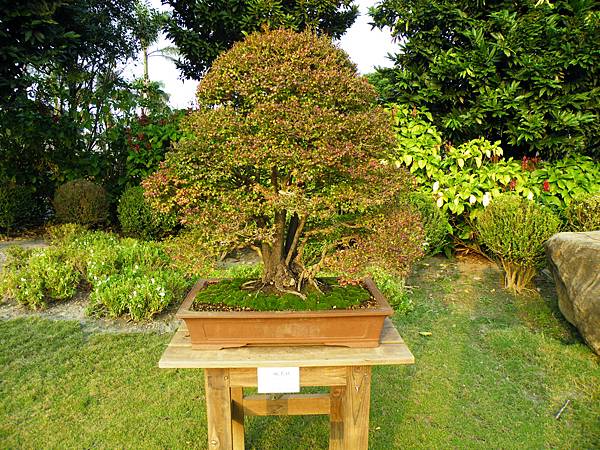 DSCF0472.JPG DSCF0472.JPG