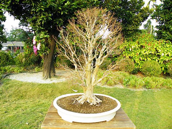 DSCF0473.JPG DSCF0473.JPG