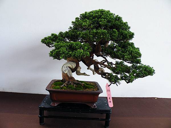 DSCF9790.JPG DSCF9790.JPG