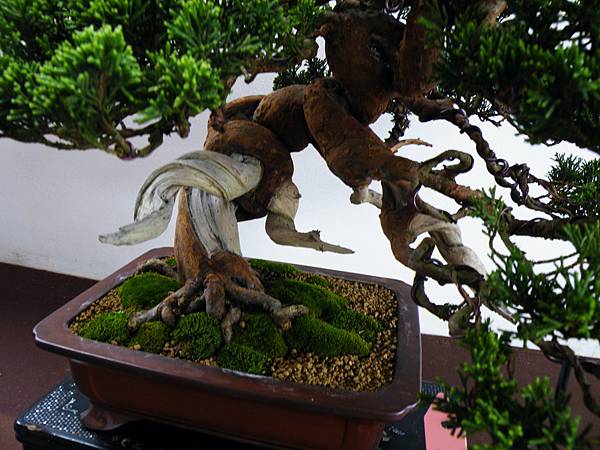 DSCF9791.JPG DSCF9791.JPG