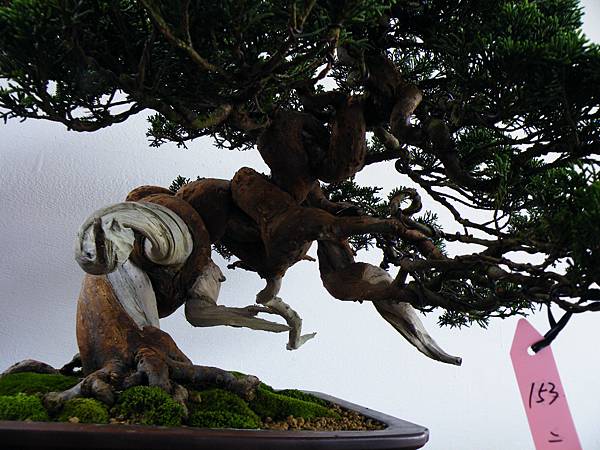 DSCF9792.JPG DSCF9792.JPG