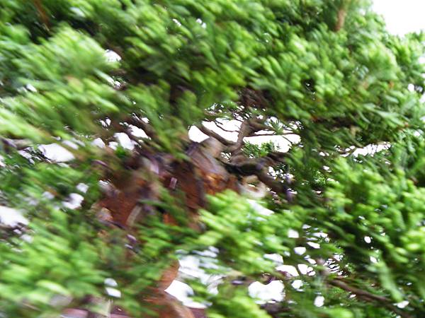 DSCF9793.JPG DSCF9793.JPG