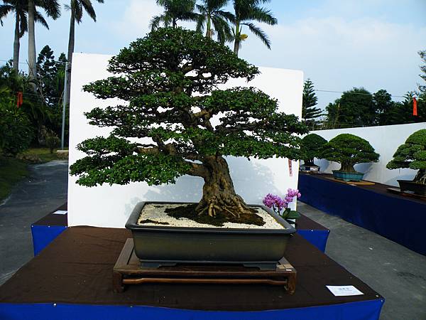 DSCF9864.JPG DSCF9864.JPG