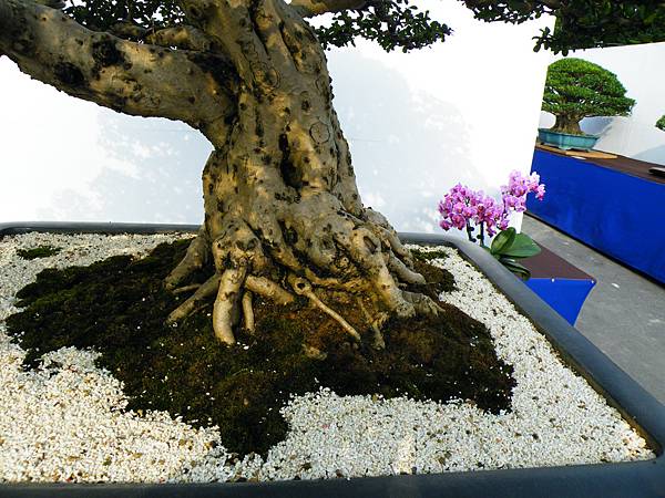 DSCF9865.JPG DSCF9865.JPG