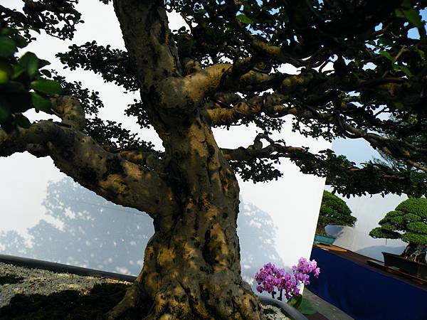 DSCF9867.JPG DSCF9867.JPG