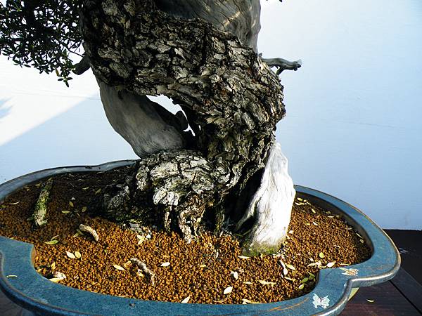 DSCF9870.JPG DSCF9870.JPG