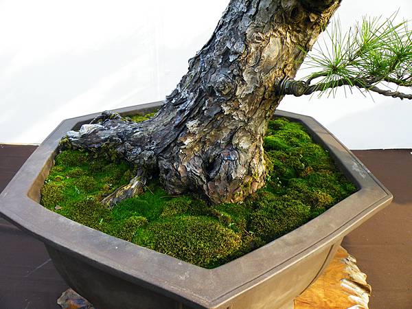 DSCF9873.JPG DSCF9873.JPG