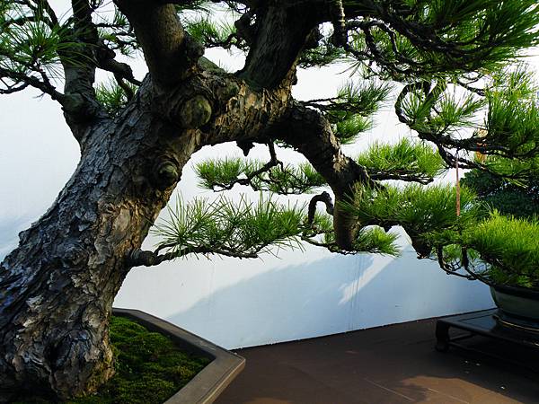 DSCF9874.JPG DSCF9874.JPG