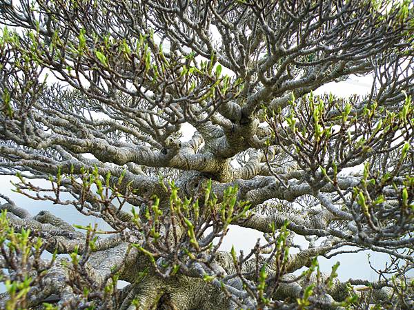 DSCF9880.JPG DSCF9880.JPG