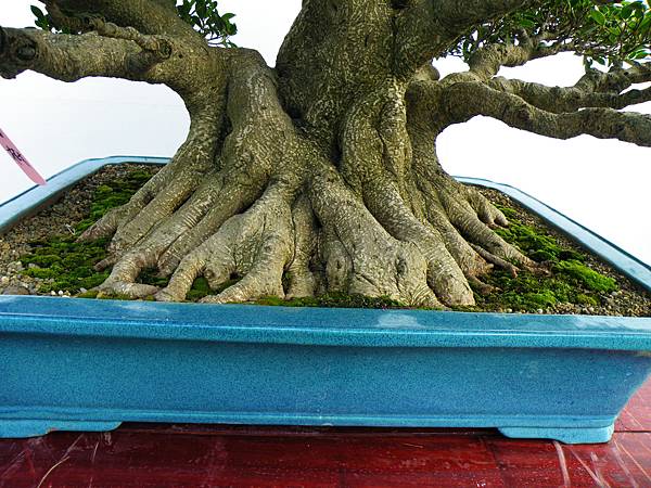 DSCF9883.JPG DSCF9883.JPG