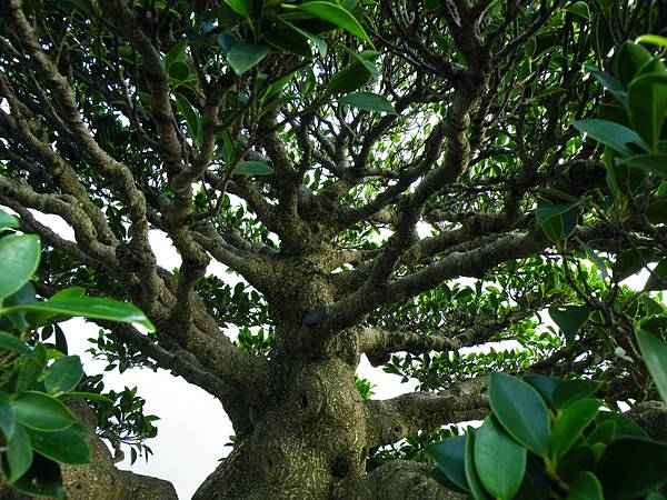 DSCF9885.JPG DSCF9885.JPG