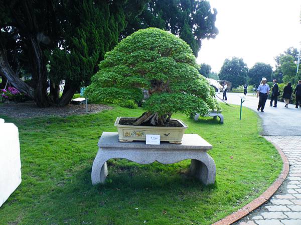 DSCF9028.JPG DSCF9028.JPG