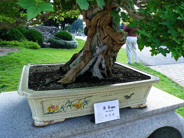 DSCF9029.JPG DSCF9029.JPG