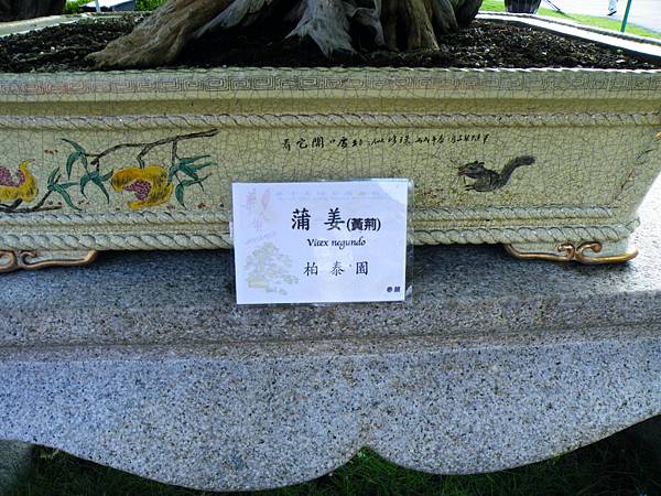 DSCF9030.JPG DSCF9030.JPG