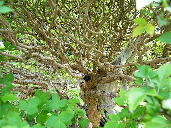 DSCF9031.JPG DSCF9031.JPG