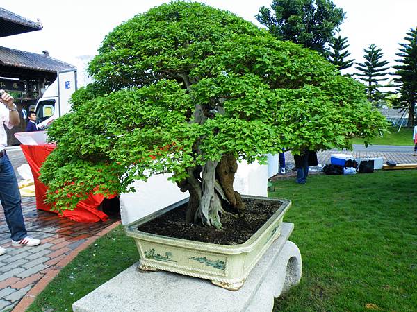 DSCF9032.JPG DSCF9032.JPG