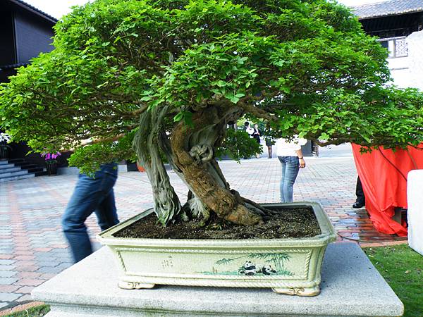 DSCF9033.JPG DSCF9033.JPG