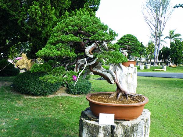 DSCF9034.JPG DSCF9034.JPG