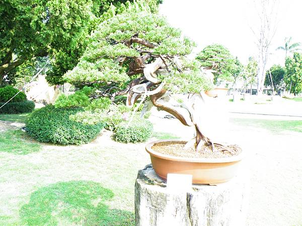 DSCF9035.JPG DSCF9035.JPG