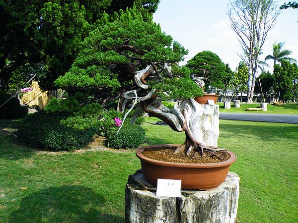 DSCF9036.JPG DSCF9036.JPG