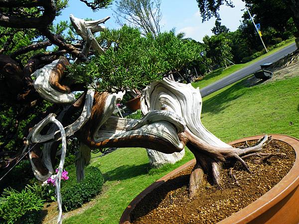 DSCF9038.JPG DSCF9038.JPG