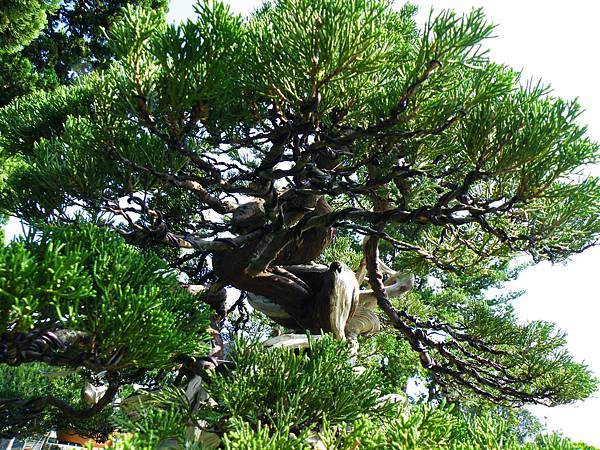 DSCF9039.JPG DSCF9039.JPG