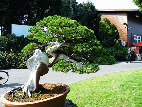 DSCF9041.JPG DSCF9041.JPG