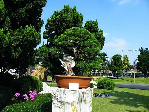 DSCF9042.JPG DSCF9042.JPG