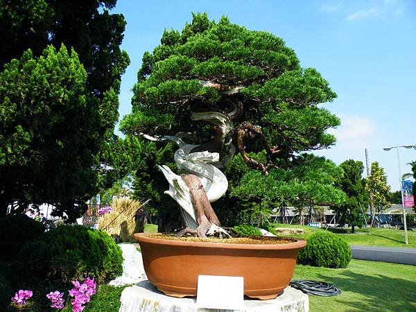 DSCF9043.JPG DSCF9043.JPG