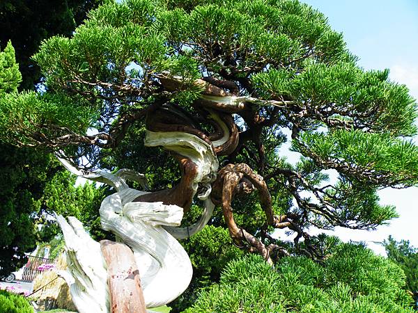 DSCF9044.JPG DSCF9044.JPG