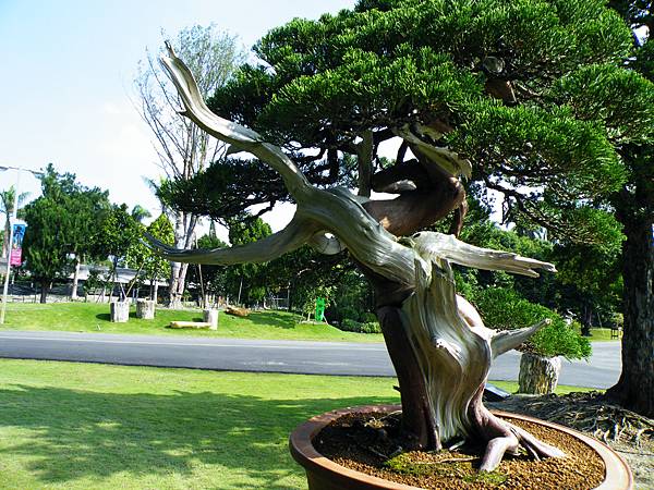 DSCF9045.JPG DSCF9045.JPG