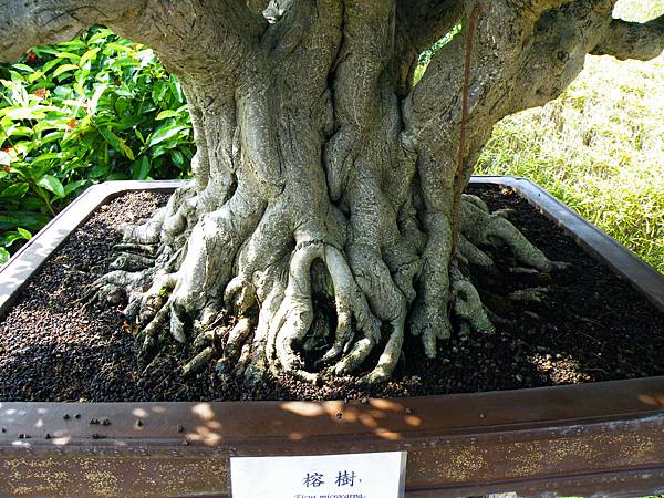 DSCF9048.JPG DSCF9048.JPG