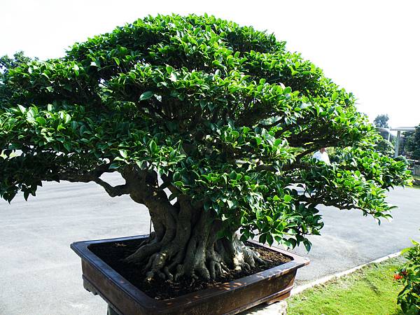 DSCF9053.JPG DSCF9053.JPG