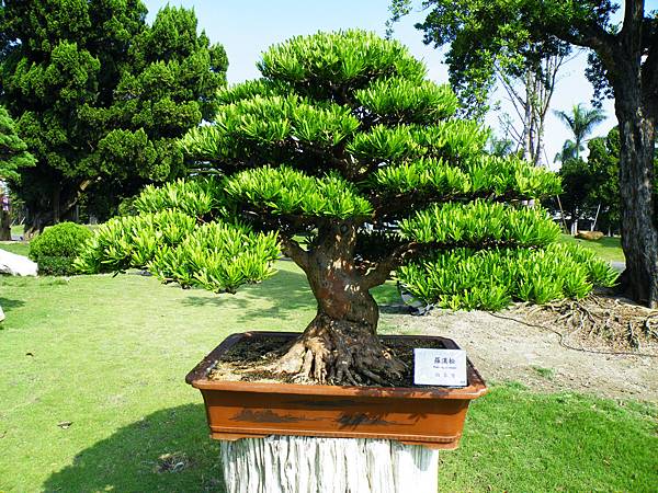 DSCF9055.JPG DSCF9055.JPG