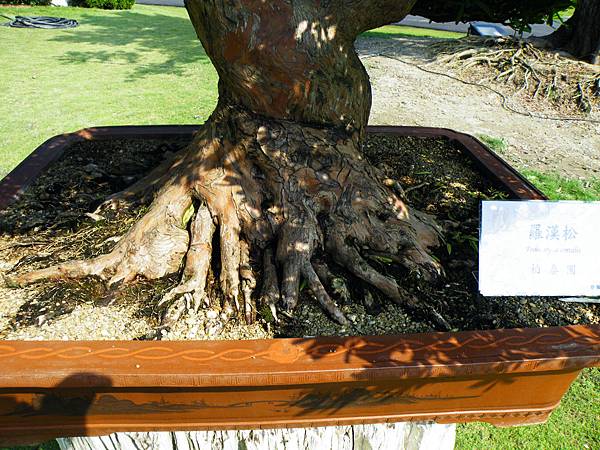 DSCF9056.JPG DSCF9056.JPG