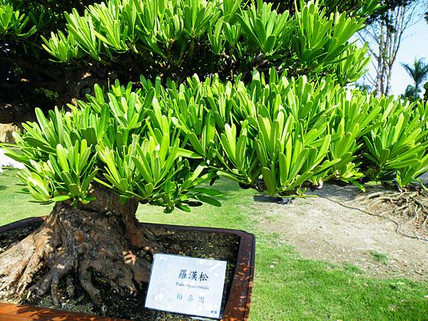 DSCF9059.JPG DSCF9059.JPG