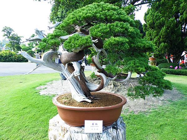 DSCF9061.JPG DSCF9061.JPG