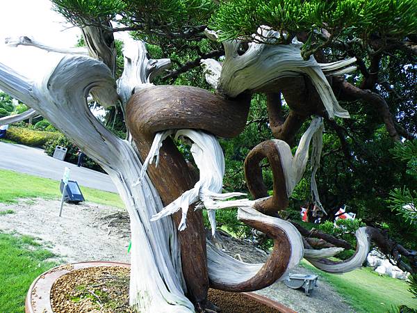 DSCF9062.JPG DSCF9062.JPG