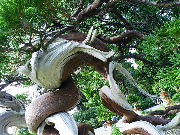 DSCF9063.JPG DSCF9063.JPG