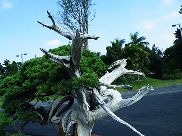 DSCF9065.JPG DSCF9065.JPG