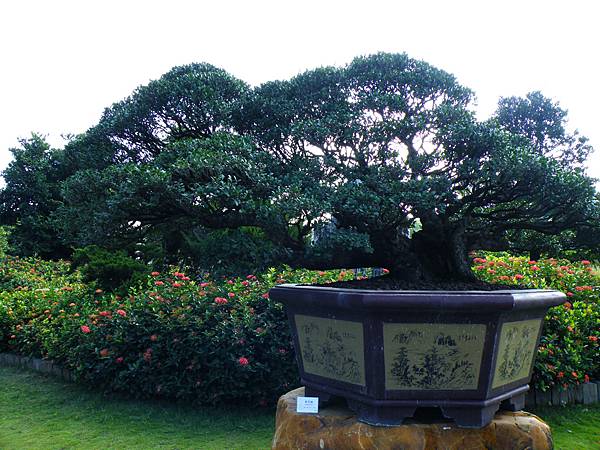 DSCF9066.JPG DSCF9066.JPG