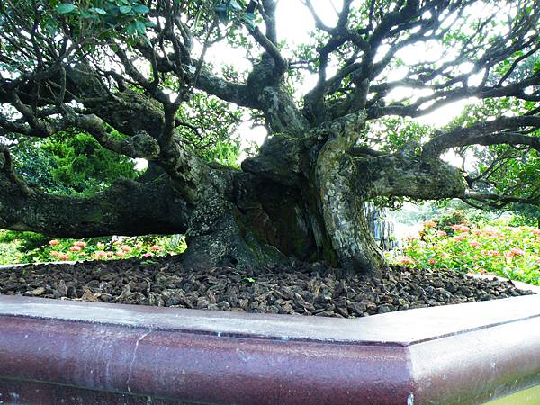 DSCF9067.JPG DSCF9067.JPG