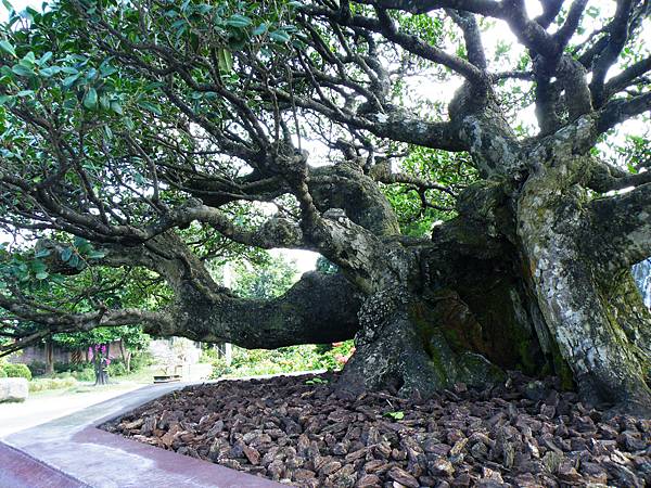 DSCF9068.JPG DSCF9068.JPG