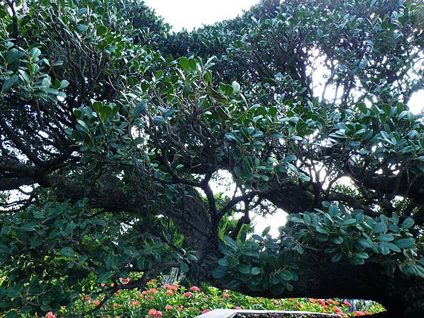 DSCF9069.JPG DSCF9069.JPG