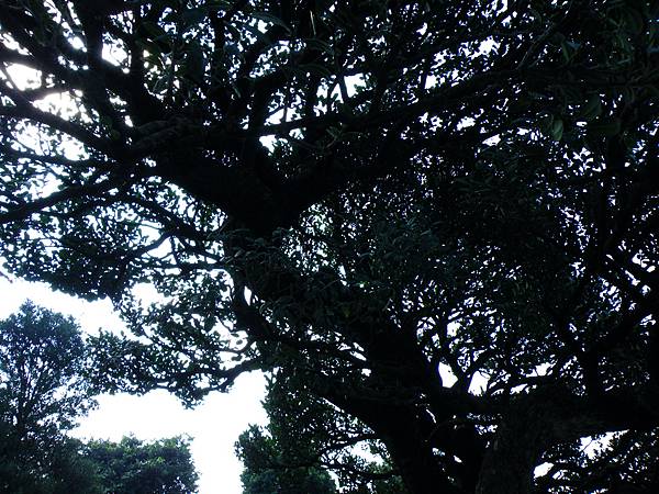 DSCF9070.JPG DSCF9070.JPG