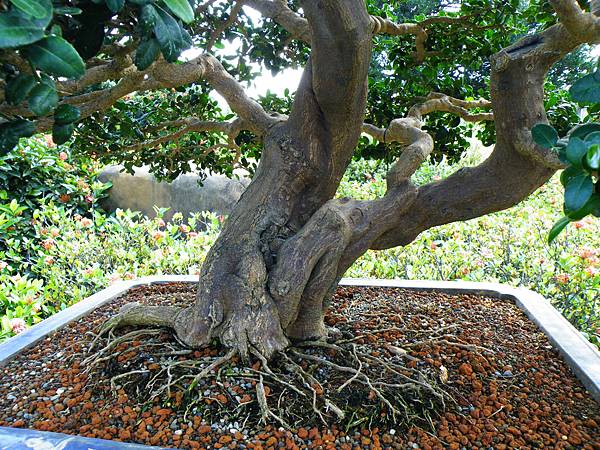 DSCF9073.JPG DSCF9073.JPG