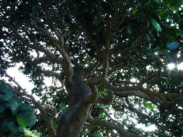 DSCF9075.JPG DSCF9075.JPG