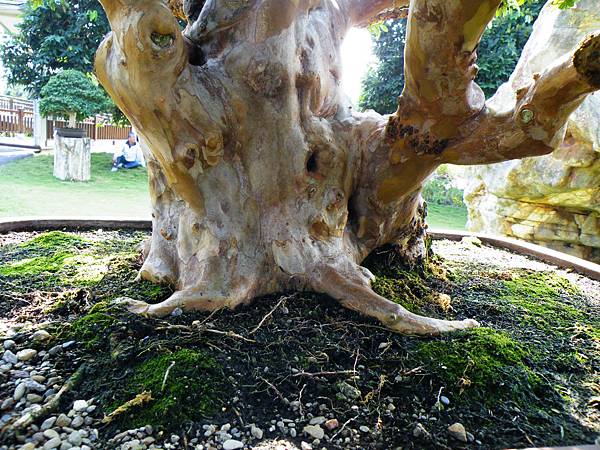 DSCF9080.JPG DSCF9080.JPG