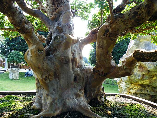 DSCF9081.JPG DSCF9081.JPG