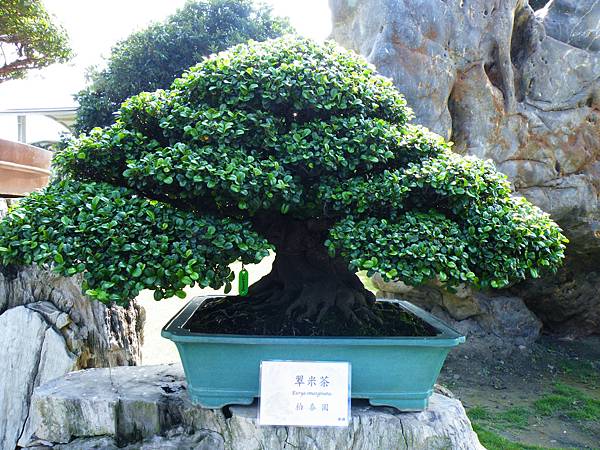 DSCF9086.JPG DSCF9086.JPG